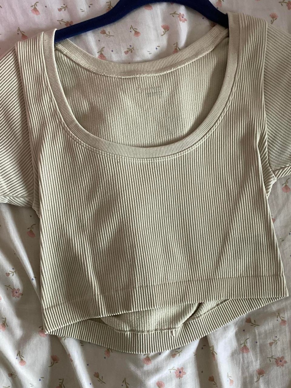 aerie Ribbed Scoop Crop Top in Light Beige
